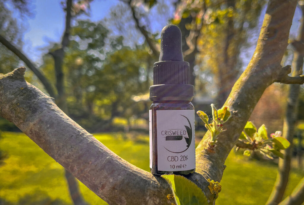 Olio CBD 10% Broad Spectrum